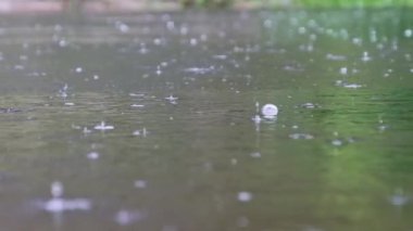 Yağmur damlaları yaz aylarında kabarcıklarla nehir yüzeyine düşer, Yavaş Hareket. Yeşil su dalgalanma dokusu. Şiddetli bir yağmur sırasında yeşil bir göletin ya da gölün su yüzeyi. Doğa arka planı, sükunet sahnesi