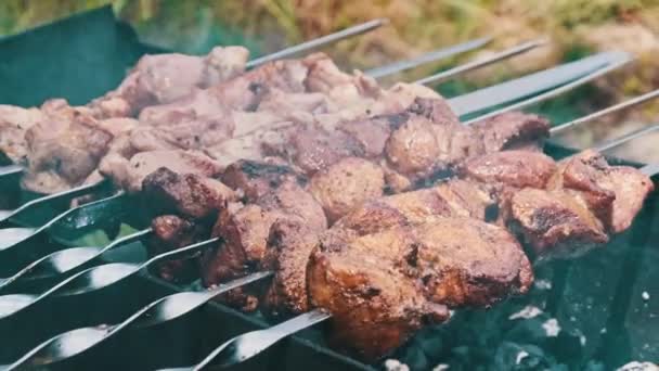 Shish Kebab Spiesjes Worden Gekookt Grill Natuur Buiten Geroosterd Varkensvlees — Stockvideo