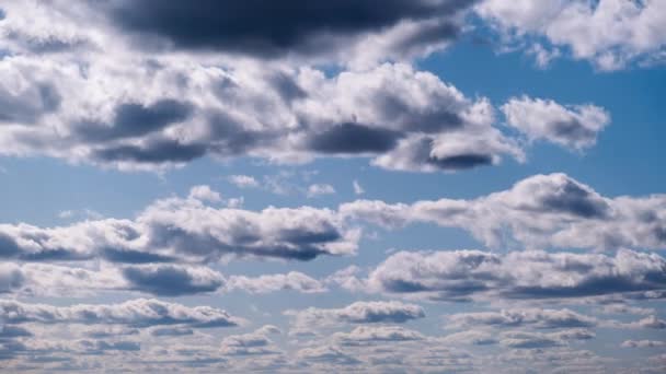 Timelapse Chmur Cumulus Poruszających Się Niebieskim Niebie Chmura Tła Przestrzeni — Wideo stockowe