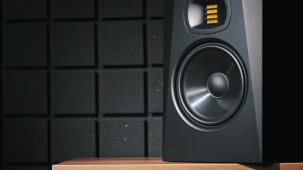 Alto Falante Monitor Estúdio Vibra Partir Música Baixo Estúdio Gravação — Vídeo de Stock