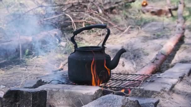 Ketel Tua Berdiri Atas Api Unggun Turis Alam Gelap Dengan — Stok Video