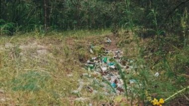 Orman çukurunda yasadışı plastik ve şişe çöplüğü. Ormanların insan kirliliği. Doğada sentetik atık yığını. Tahtada bir sürü çöp var. İnsanlar tarafından bir yere atılan çöpler.
