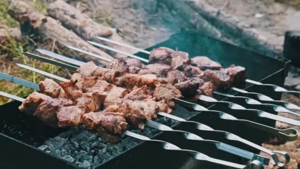 Kebabs Shish Espetos São Cozidos Grelha Natureza Livre Carne Porco — Vídeo de Stock