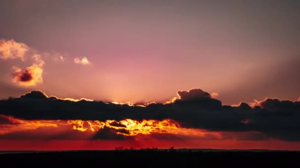 Turuncu Gökyüzünde Ufkun Üzerinde Yumuşak Bulutlu Muhteşem Bir Gün Batımı — Stok video