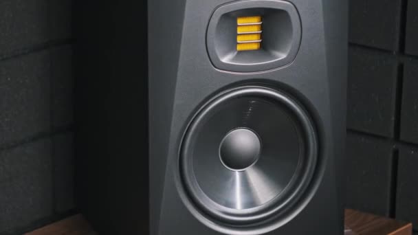 Studio Monitor Luidspreker Trilt Van Basmuziek Een Opnamestudio Close Moderne — Stockvideo