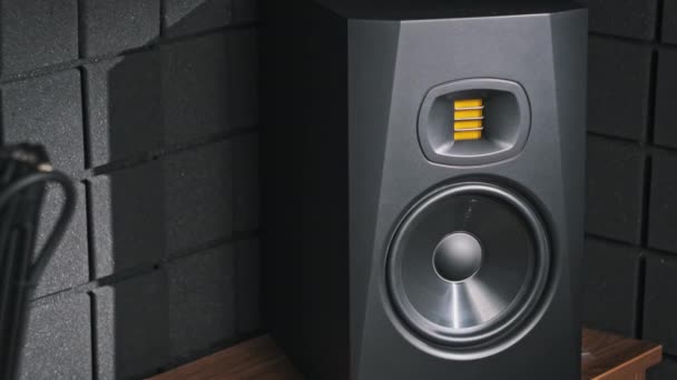Studio Μπάσο Ηχείο Δονείται Από Δυνατή Μουσική Ένα Στούντιο Ηχογράφησης — Αρχείο Βίντεο