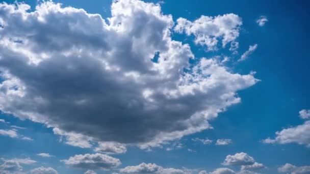 Zeitraffer Bewegen Sich Kumuluswolken Blauen Himmel Der Hintergrund Grauer Und — Stockvideo