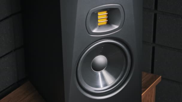 スタジオモニタースピーカーは レコーディングスタジオで低音音楽から振動し クローズアップします 現代のスピーカー膜は ゆっくりとした動きで大きな歌を聞きながら動きます 低周波で動作する低音スピーカー Hifiについて — ストック動画