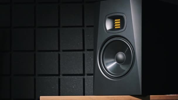 Studio Monitor Høyttaler Vibrerer Fra Bassmusikk Opptaksstudio Nærbilde Moderne Høyttalermembran – stockvideo
