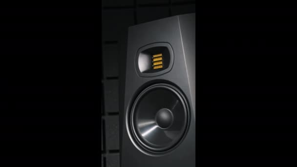 Vertikaler Studiomonitorlautsprecher Vibriert Aus Bassmusik Einem Aufnahmestudio Großaufnahme Moderne Lautsprechermembran — Stockvideo