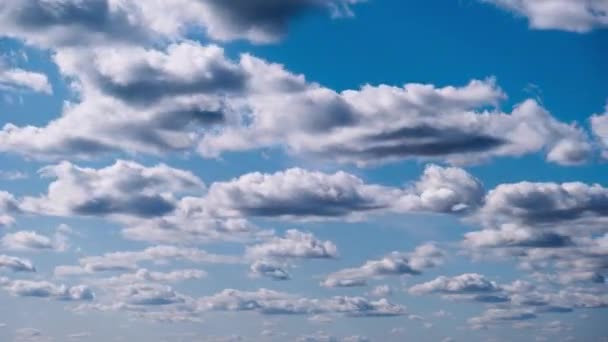 积雨云在蓝天中移动的时间 云彩背景具有许多光灰云彩不断变化的形状 时间差 天气的变化 天空云彩 复制空间 — 图库视频影像