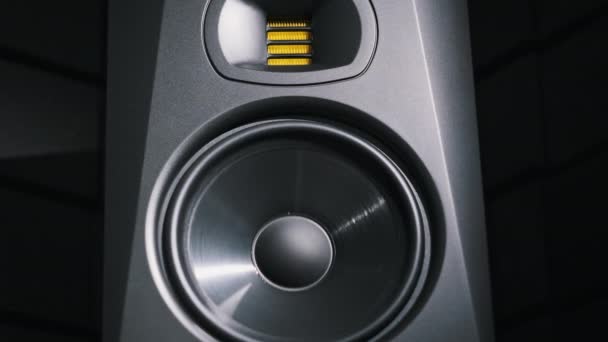 录音室低音扬声器在录音室里从嘈杂的音乐中震动 现代扬声器膜泵从低音慢动作 低频工作低音锥 高保真音响系统 — 图库视频影像