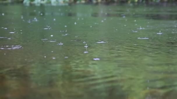 Капли Дождя Падают Поверхность Реки Пузырьками Летом Медленное Движение Зеленая — стоковое видео
