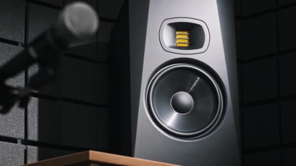 スタジオベーススピーカーは レコーディングスタジオで大きな音楽から振動し クローズアップします 低音の音から低速の動きでポンプを送る現代スピーカー膜 低周波で動作する低音コーン ハイファイサウンドシステム — ストック動画