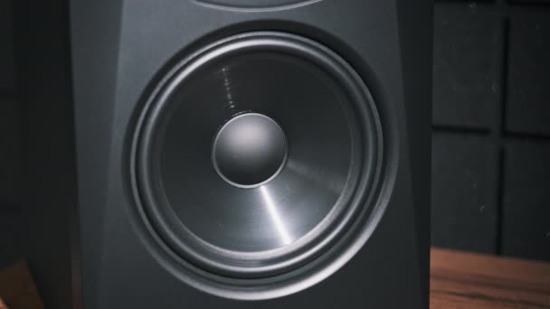 录音室低音扬声器在录音室里从嘈杂的音乐中震动 现代扬声器膜泵从低音慢动作 低频工作低音锥 高保真音响系统 — 图库视频影像
