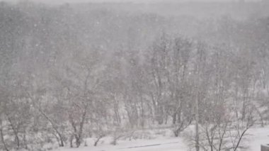 Kış kar yağışı arka planı, Yavaş Hareket. Orman arka planında, açık havada yağan kar taneleri ile kış manzarası. Sakin, karlı kış havası. Ağaçlara kar yağan kış sahnesi. Boşluğu kopyala