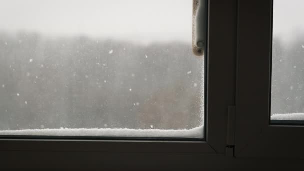 온도계가있는 창문에서 집안의 창문을 겨울의 밖으로 떨어지는 눈으로 온도계에 — 비디오