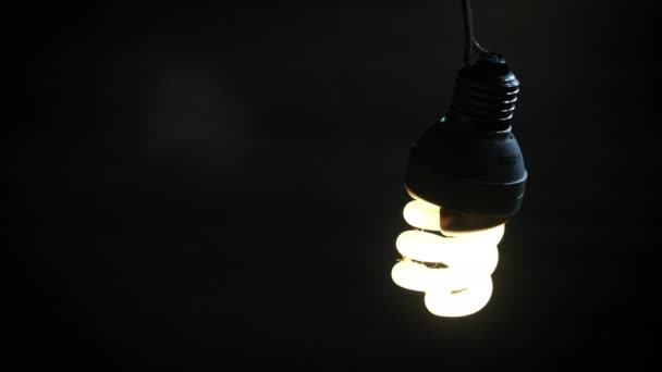 Spiral Fluorescerande Lampa Flimrar Lyser Upp Och Svingar Elektrisk Tråd — Stockvideo