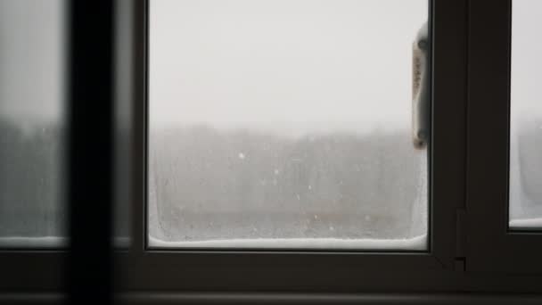 Téli Kilátás Egy Ablakból Hőmérővel Odakint Téli Táj Ablakon Keresztül — Stock videók