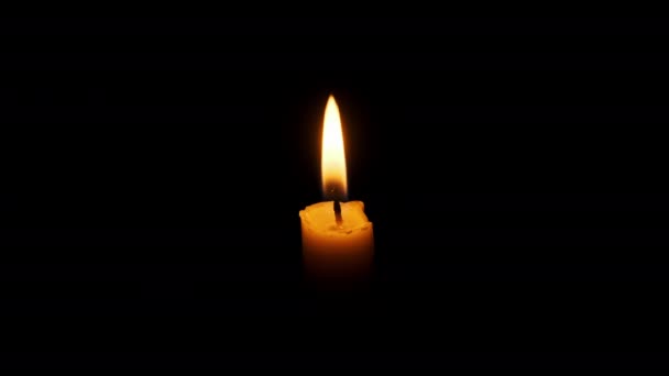 一根蜡烛在黑色的背景上燃着熄灭 复制空间 蜡烛的火焰点燃了特写 炽热的烛焰 孤立无援概念纪念 记忆等 — 图库视频影像