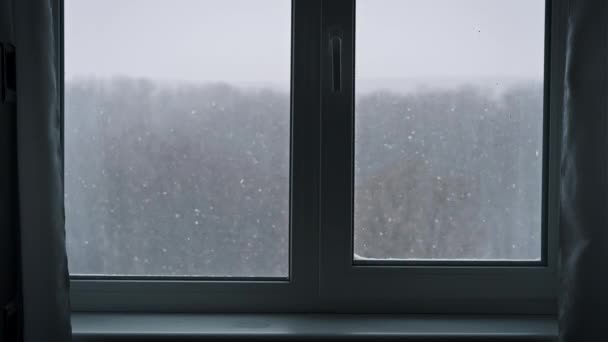 Vue Hiver Depuis Une Fenêtre Paysage Hivernal Travers Fenêtre Maison — Video