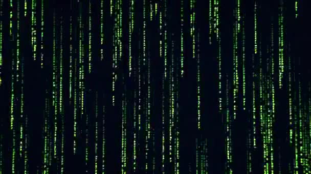 矩阵代码雨的背景 绿色数字在屏幕上 二进制数据 网络技术安全 算法的概念 数字时代 数据加密 行矩阵 — 图库视频影像