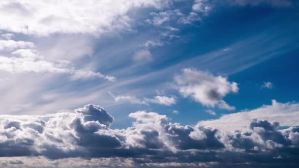 Timelapse Cumulus Chmury Porusza Się Błękitnym Niebie Tło Lekkich Ciężkich — Wideo stockowe