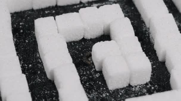 Sugar Labyrinth Many Sugar Cubes Folded Maze Shape Rotates Black — Stock Video