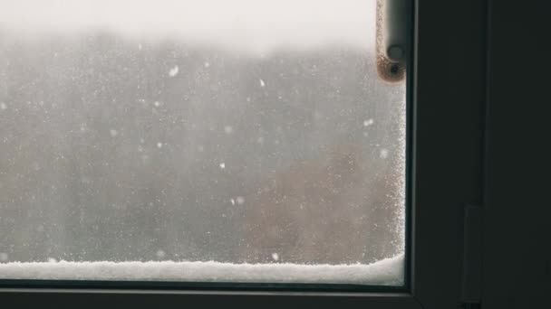 Vinterutsikt Från Ett Fönster Med Termometer Utanför Vinterlandskap Genom Fönstret — Stockvideo