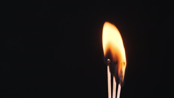 Drie Luciferstokjes Ontsteken Branden Een Zwarte Achtergrond Close Kopieerruimte Ontsteek — Stockvideo