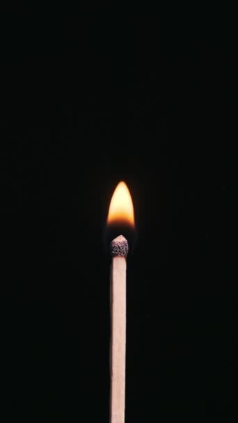 垂直火柴棒点燃和燃烧在一个黑色背景特写 复制空间 点燃火柴硫磺一根火柴棒神奇地点亮和点燃 火把上的火把4K — 图库视频影像
