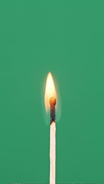 Vertical One Match Stick Ignites Burns Green Background Close Match — Stock Video