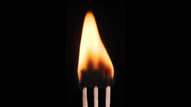 Vertical Trois Allumettes Enflamme Brûle Sur Fond Noir Gros Plan — Video