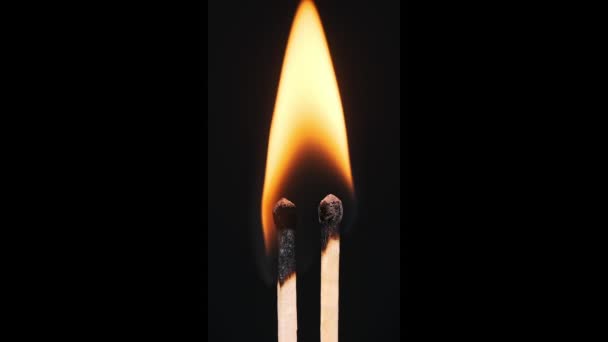 Δύο Σπίρτα Αναφλέγονται Και Καίγονται Ένα Μαύρο Φόντο Από Κοντά — Αρχείο Βίντεο