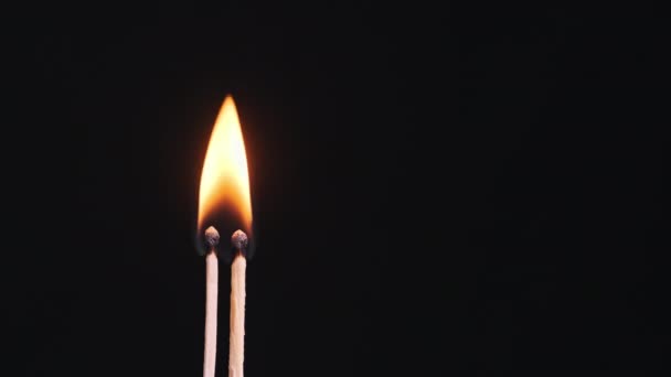 两只火柴棒在一个黑色的背景特写上点燃和燃烧 复制空间 点燃火柴硫磺火柴棒神奇地点亮和点燃 94Fps — 图库视频影像