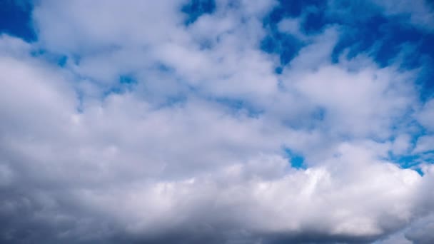 クミュラスの雲のタイムラプスが青空に移動する 光と重い穏やかな雲の背景は 曇った空間に形を変えます 自然の背景 タイムラプス コピースペース 4Kについて — ストック動画