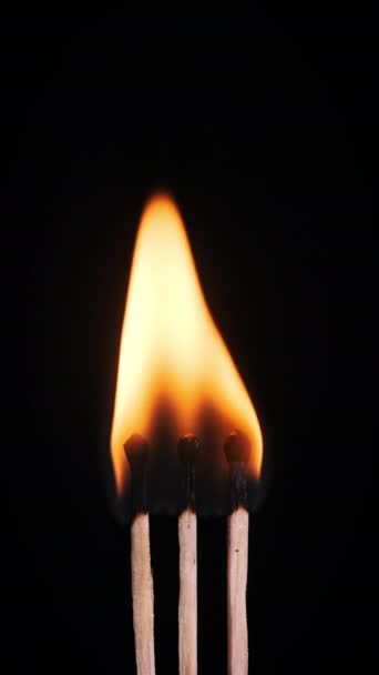 垂直的 三个火柴杆点燃和燃烧在一个黑色的背景特写 复制空间 点燃火柴硫磺火柴棒神奇地点亮和点燃 — 图库视频影像