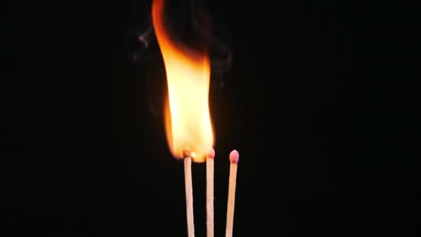 三根火柴棒在一个黑色的背景特写上点燃和燃烧 复制空间 点燃火柴硫磺火柴棒神奇地点亮和点燃 — 图库视频影像