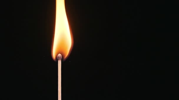 Bâton Match Enflamme Brûle Sur Fond Noir Gros Plan Espace — Video