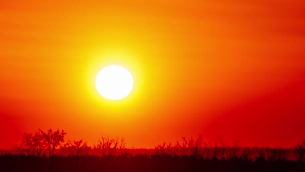 Timelapse Golden Sunset Tranquil Horizon Meleg Árnyalatokkal Világítja Meg Eget — Stock videók