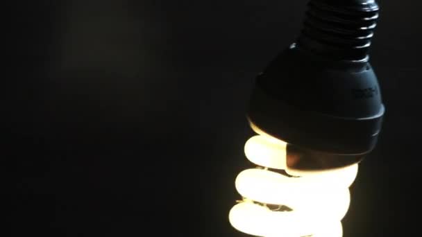 クローズアップ蛍光ランプが点滅し 点灯し 穏やかに電線に揺れています スパイラルチューブ電球は暗い背景でオンとオフに切り替えられています 電気省エネの電球 — ストック動画