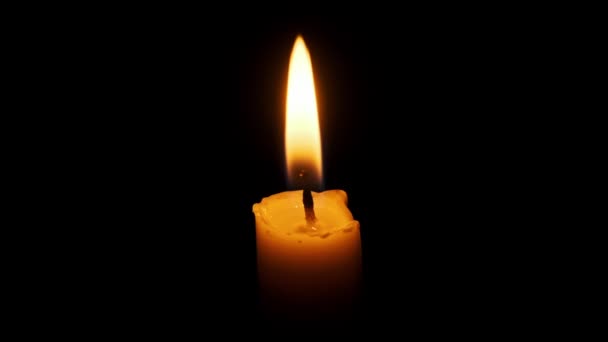 Eine Brennende Und Erloschene Kerze Auf Schwarzem Hintergrund Kopierraum Kerzenflammen — Stockvideo