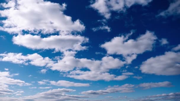 Cronologia Norii Cumulus Mișcă Cerul Albastru Fundalul Norilor Calmi Luminoși — Videoclip de stoc