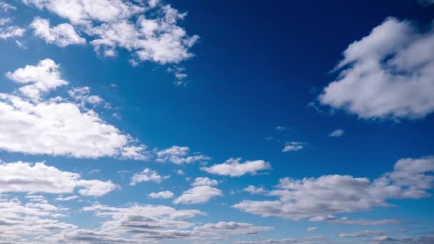 Timelapse Cumulus Chmury Porusza Się Błękitnym Niebie Tło Lekkich Ciężkich — Wideo stockowe