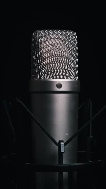 Vertikal Studio Mikrofon Roterar Svart Bakgrund Närbild Kondensatormikrofonnätets Yta Snurrar — Stockvideo