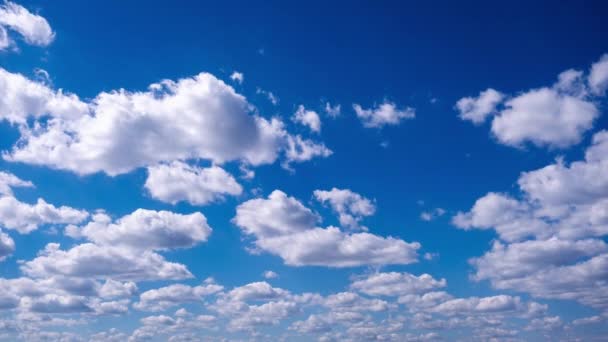 Cronologia Norii Cumulus Mișcă Cerul Albastru Fundalul Norilor Calmi Luminoși — Videoclip de stoc