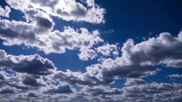 Nuvens Temporais Movem Céu Azul Fundo Nuvens Cúmulo Leves Pesadas — Vídeo de Stock