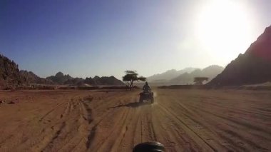 Mısır Çölü 'nde Dörtlü bisiklete binmek. ATV sürüyorum. ATV 'lerde çöl off-road maceraları. Aksiyon kamerasında birinci şahıs görüntüsü. Safari gezisi. Safari gezisi.