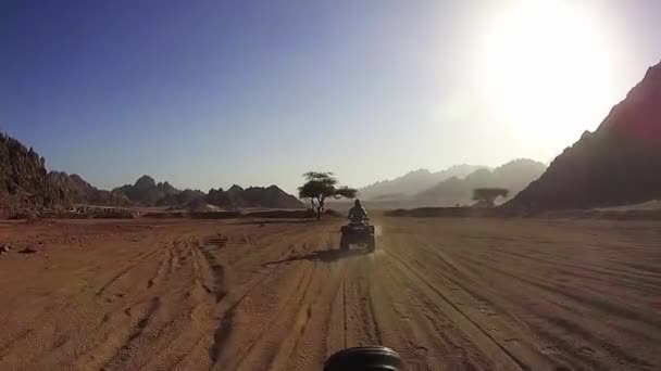 Jazda Quadach Pustyni Egiptu Prowadzenie Quadów Przygody Pustynnego Road Quadach — Wideo stockowe