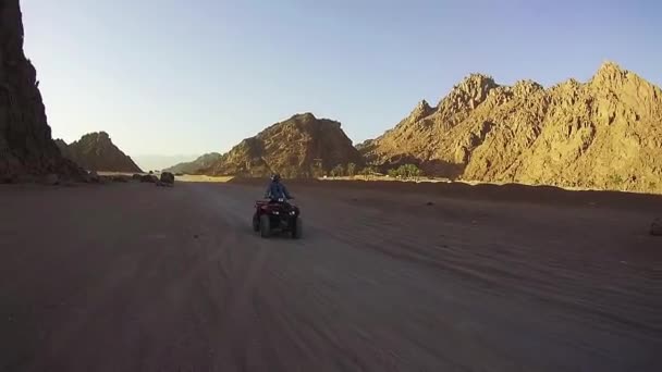 Quad Bike Lovagolni Egyiptom Sivatagában Atv Ket Vezetek Sivatagi Terepjárók — Stock videók